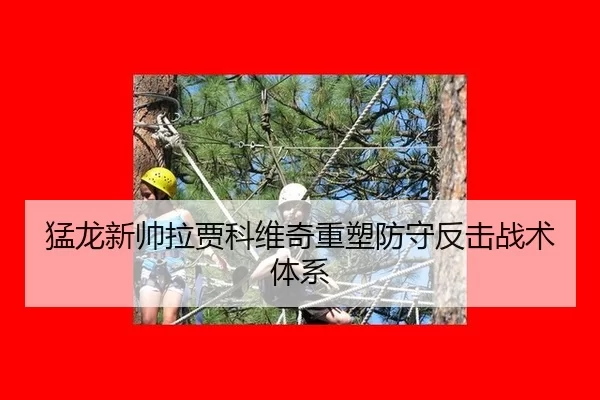 猛龙新帅拉贾科维奇重塑防守反击战术体系